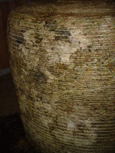 Abb. 2: verschimmeltes Heu