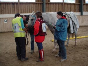 Fortbildung Distanzturnier-Tierarzt